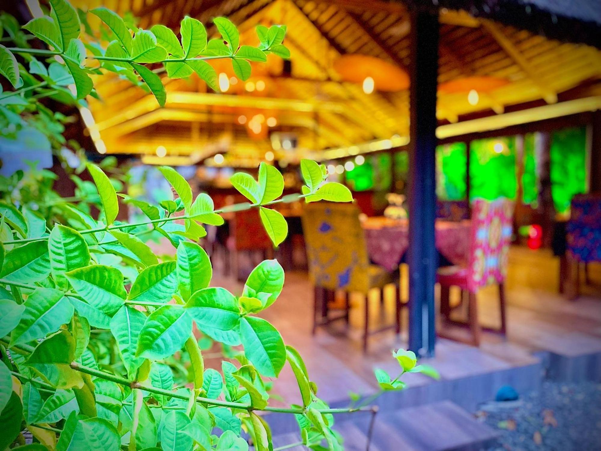 Le Patio 호텔 로메 외부 사진